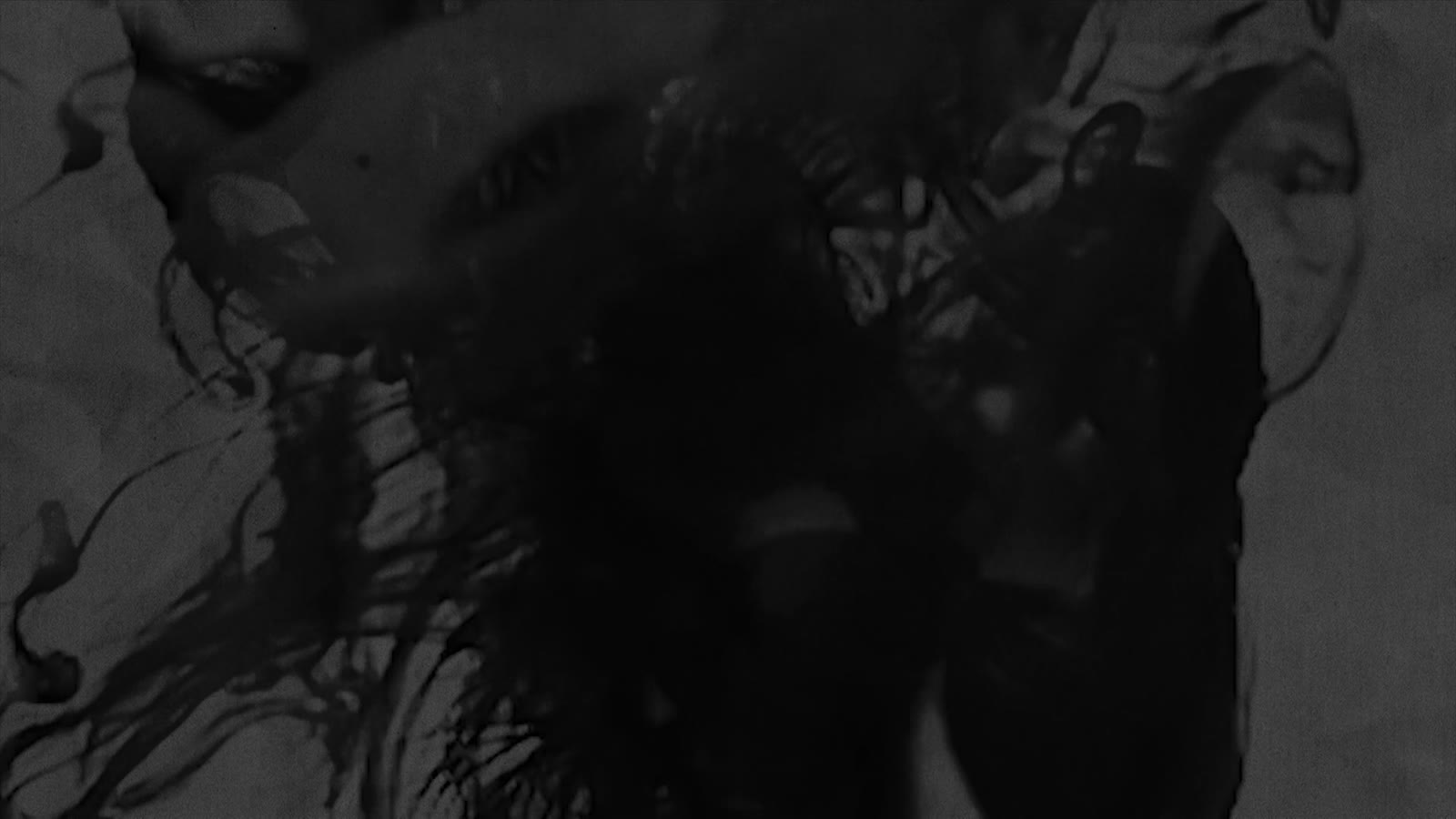 Fotogramma 2 di Sigla Il Rapace - Film